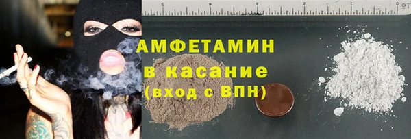 прущие грибы Ельня