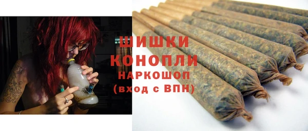 прущие грибы Ельня