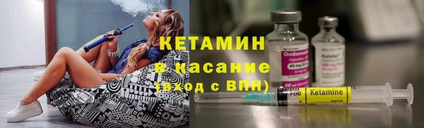 прущие грибы Ельня