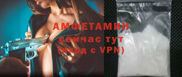 прущие грибы Ельня