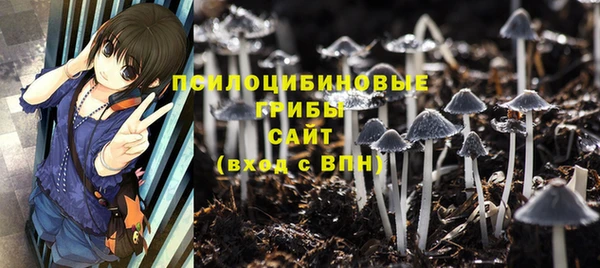 прущие грибы Ельня