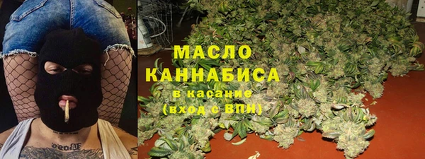 прущие грибы Ельня