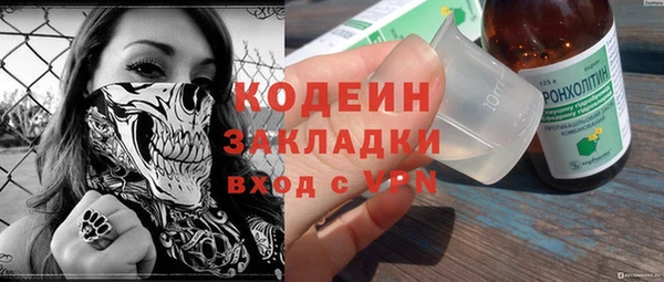 прущие грибы Ельня