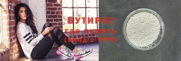 прущие грибы Ельня