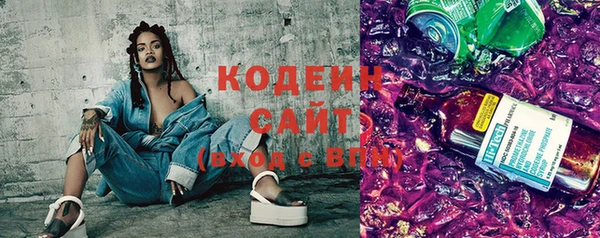 прущие грибы Ельня