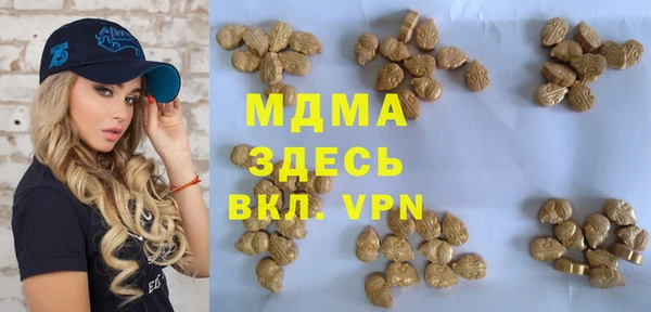 прущие грибы Ельня