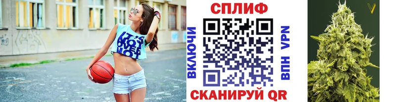 Конопля конопля  Купить закладки  Курчалой 